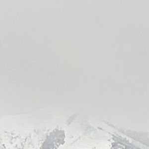 Meet your Posher, Miss